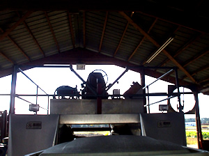 Carter's Blueberry Patch